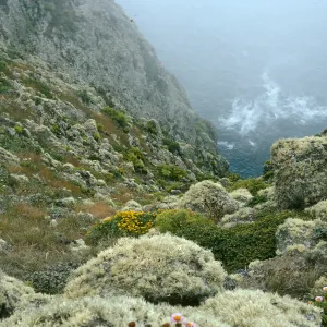 Looking down bluffs, marker 717, West end, Santa Cruz Island