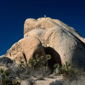 rock climbers, Belle Campground, Joshua Tree National Park