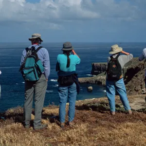 West side, Santa Barbara Island