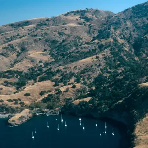 Pelican Bay, Santa Cruz Island