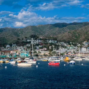 Avalon, Catalina Island