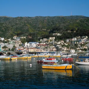 Avalon Harbor, Catalina Island