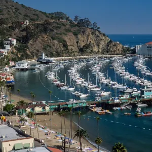 Avalon Harbor, Catalina Island
