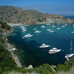 Cherry Cove, Catalina Island