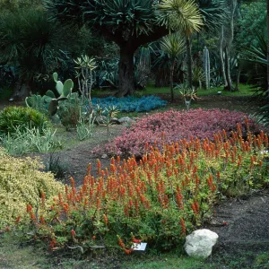 Wrigley Memorial Garden, Avalon Canyon, Catalina Island