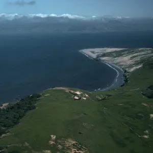 Skunk Point, East end of Torrey Pines, Santa Rosa Island