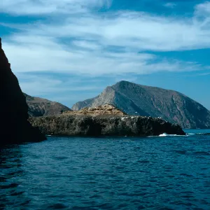 North shore, West Anacapa in background, Middle Anacapa Island
