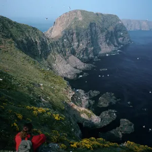 David Rosen, overlooking East Fish Camp, Middle Anacapa Island