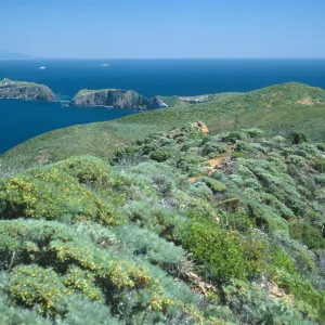 view of East Anacapa Island from ridgetop, West Anacapa Island