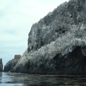 Landing Cove, East Anacapa Island