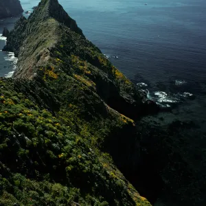 West end of East Anacapa Island, East Anacapa Island