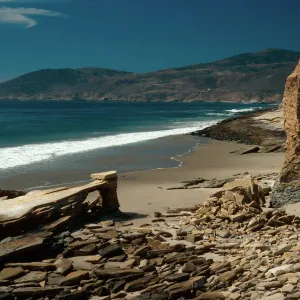 Opuntia prolifera site, 1st canyon West of Jolla Vieja, Santa Rosa Island