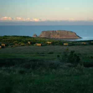 campground at dusk, San Miguel Island