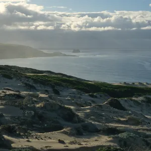 dunes above Simonton Cove, San Miguel Island