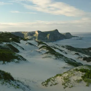 dunes above Cuyler Harbor, San Miguel Island
