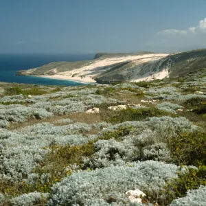 view of Cuyler Harbor, San Miguel Island