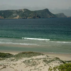 beach at Cuyler Harbor, San Miguel Island