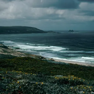 looking West, Harris Point Peninsula, San Miguel Island