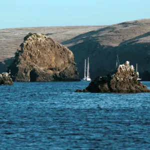 Scorpion Rocks, Santa Cruz Island
