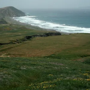 Christy Beach, Santa Cruz Island