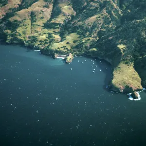 Pelican Bay, Santa Cruz Island