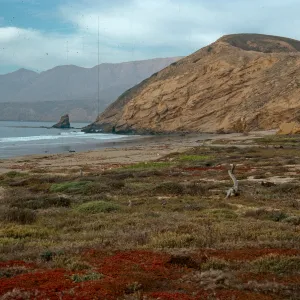 Sauces Beach, Santa Cruz Island