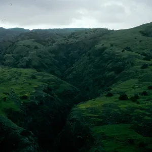 East End Canyon, above Smugglers Ranch, Santa Cruz Island