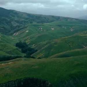 Scorpion Canyon, Santa Cruz Island