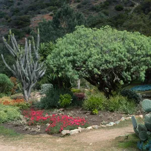 Wrigley Memorial Garden, Avalon Canyon, Catalina Island