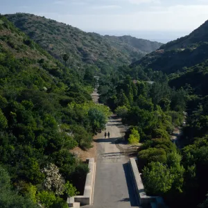 Wrigley Memorial Garden, Avalon Canyon, Catalina Island