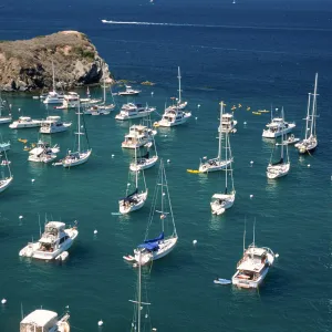 Cherry Cove, Catalina Island