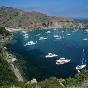 Cherry Cove, Catalina Island