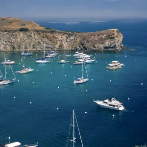 Cherry Cove, Catalina Island