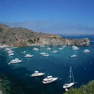 Cherry Cove, Catalina Island