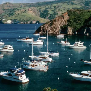 Cherry Cove, Catalina Island