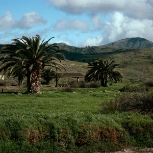 campground, Little Harbor, Catalina Island