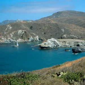 Little Harbor, Catalina Island