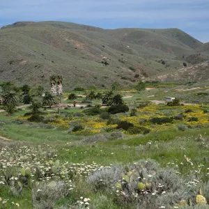 Little Harbor campground, Catalina Island