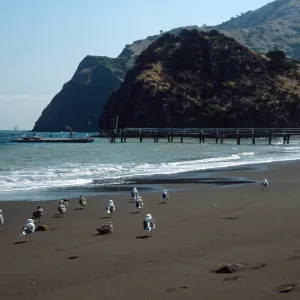 Whites Landing, Catalina Island