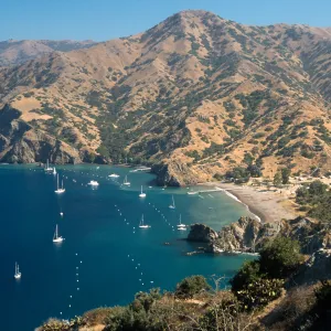 Whites Landing, Catalina Island