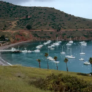Isthmus Harbor, Catalina Island