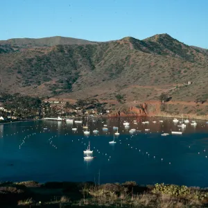 Isthmus Cove, Catalina Island