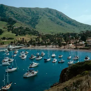 Isthmus Cove, Catalina Island