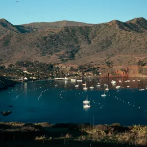 Isthmus Cove, Catalina Island