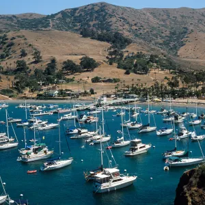 Two Harbors, Catalina Island