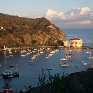 Avalon, Catalina Island