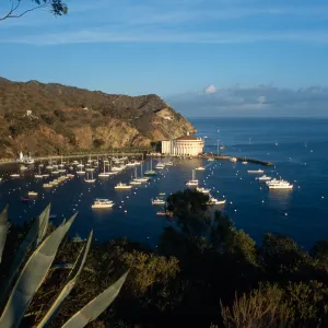 Avalon, Catalina Island