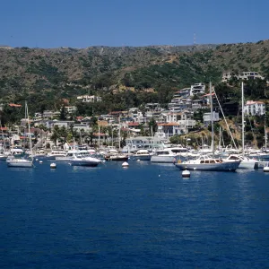 Avalon, Catalina Island