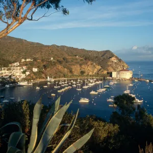 Avalon, Catalina Island
