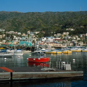 Avalon Harbor, Catalina Island